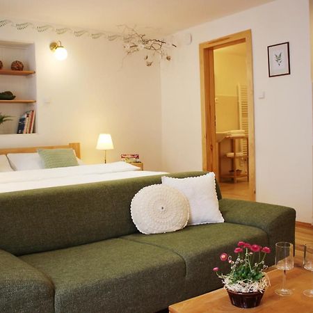 Apartmány Domestika Český Krumlov Esterno foto